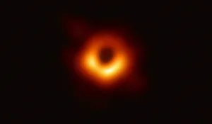 Black hole picture