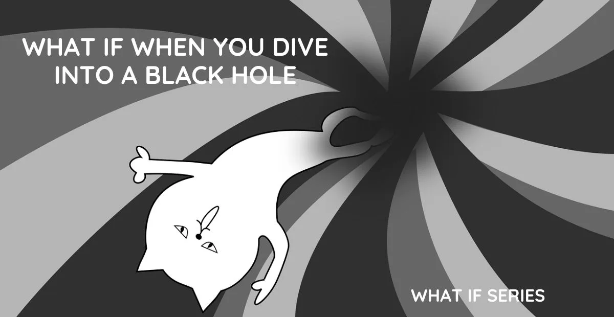 What if When You Dive into a Black Hole?