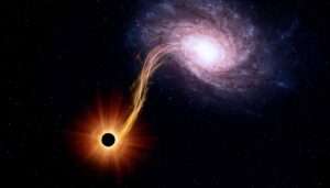 Black holes